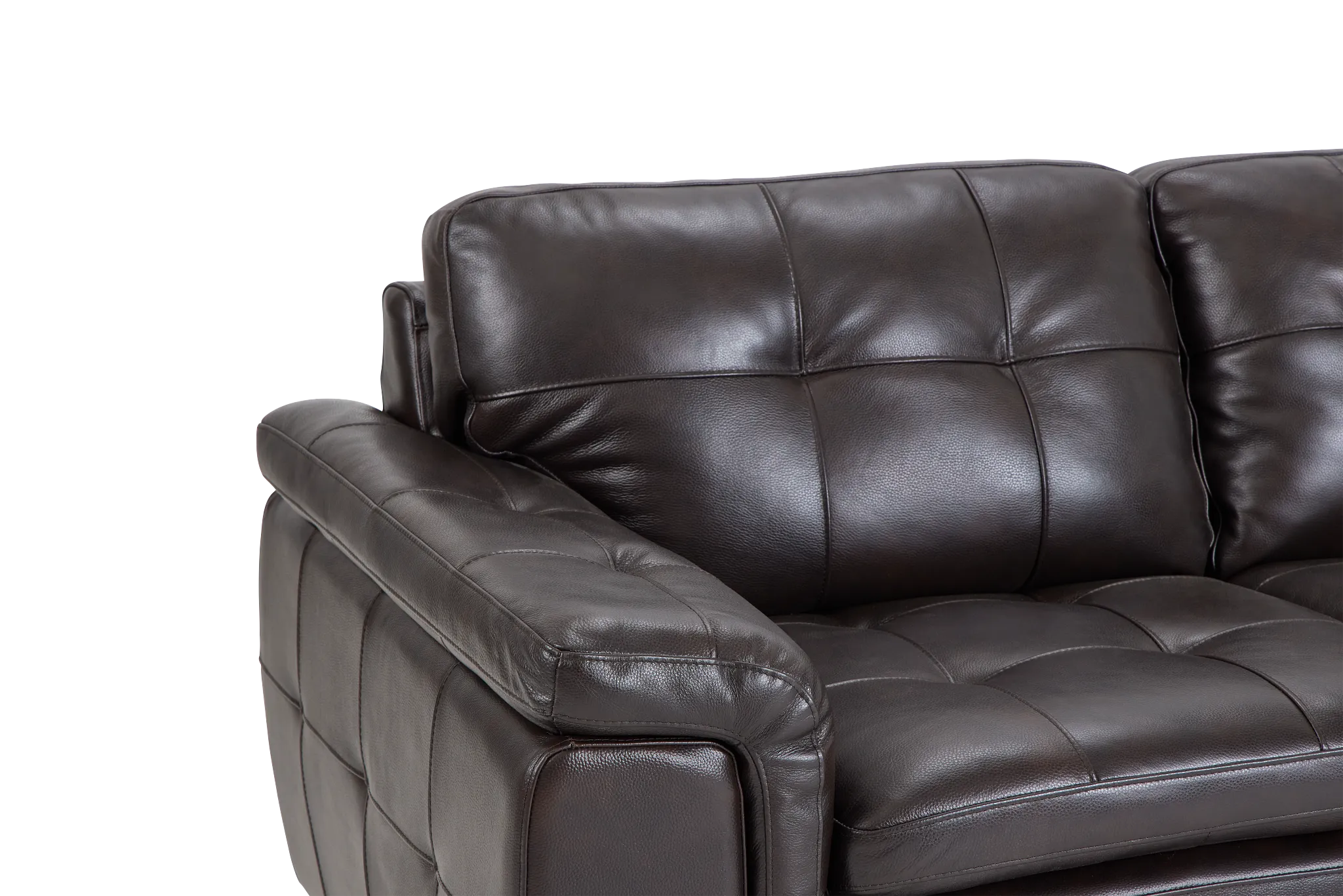Braden Dark Brown Leather Loveseat