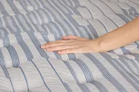 Kevin Charles By Sealy Signature 14" Plush Euro Top Mattress