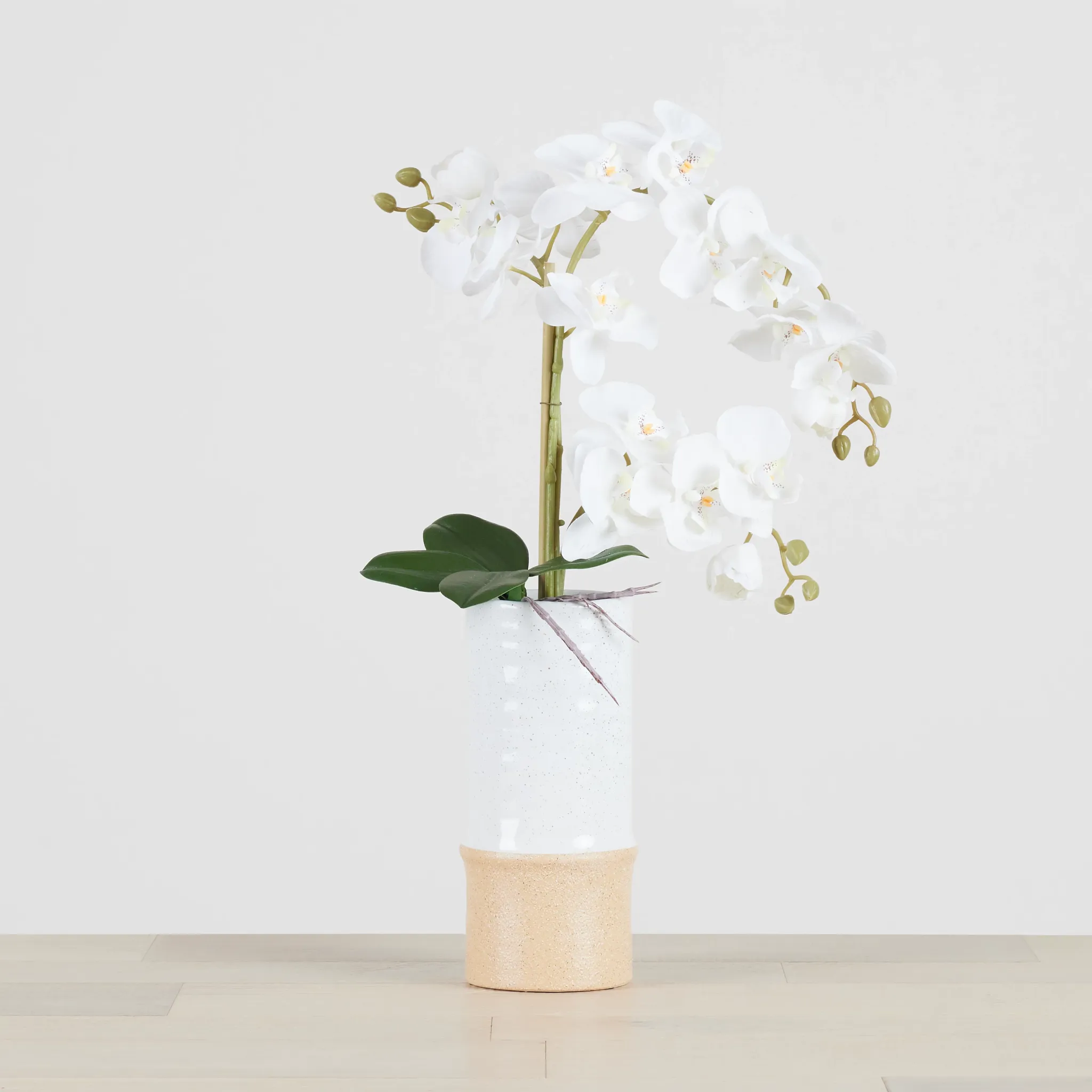 Potted White 25" Orchid