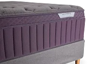 Purple Rejuvenate Plus Mattress Set