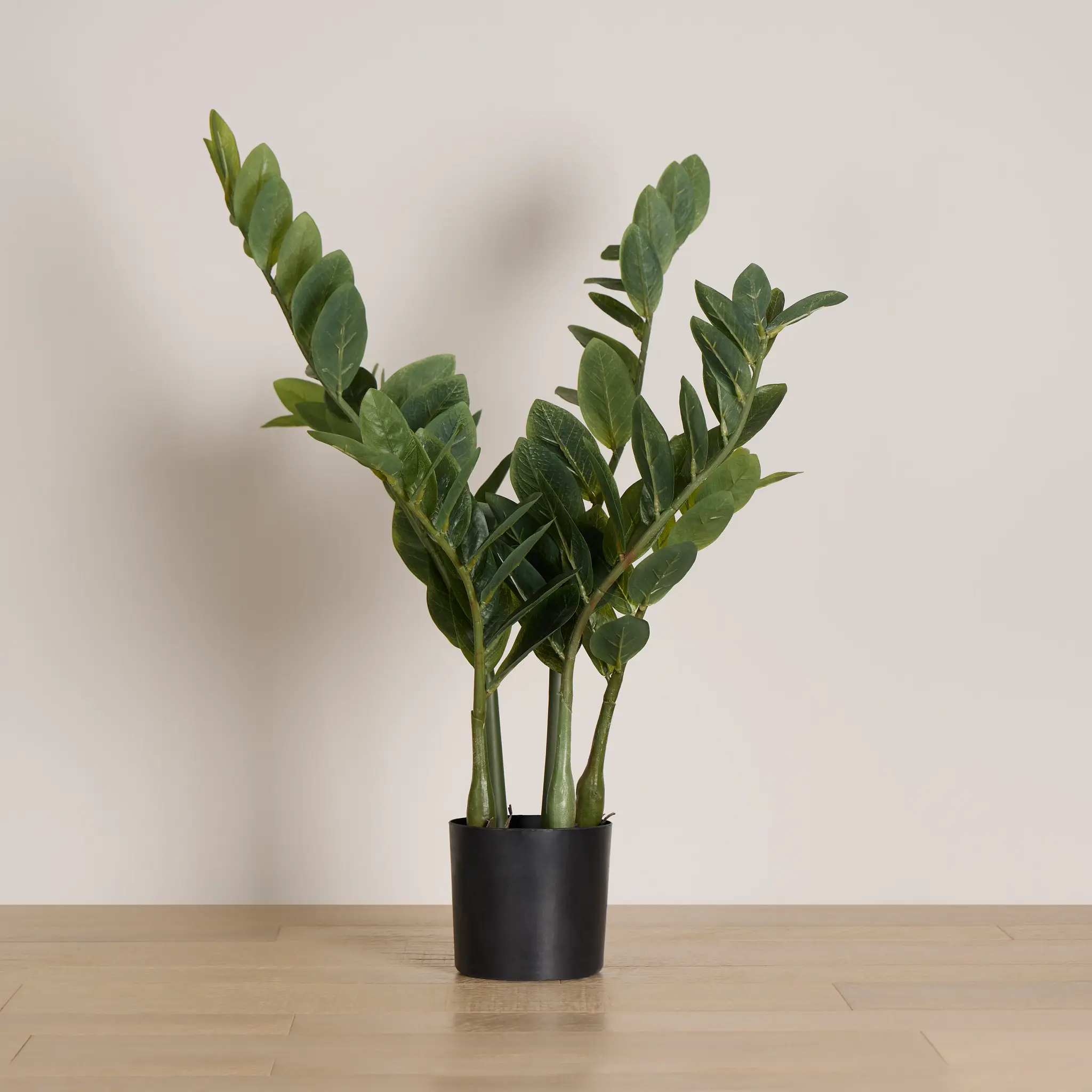 Ines Small Palm Ines Small Palm