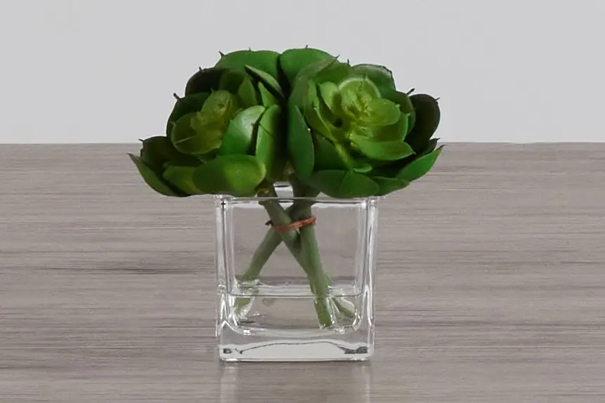 Desert Plant 5.5" Succulent Desert Plant 5.5" Succulent