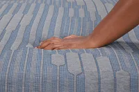 Kevin Charles By Sealy Hybrid 12.25" Plush Mattress