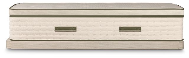 Avocado Green Plush Low-profile Mattress Set