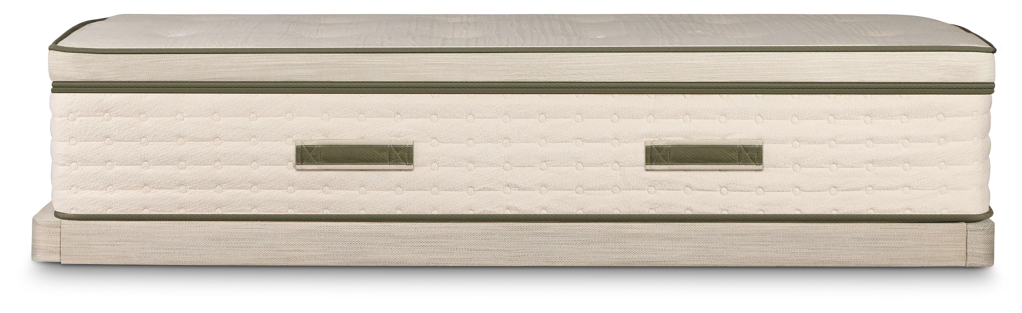 Avocado Green Plush Low-profile Mattress Set