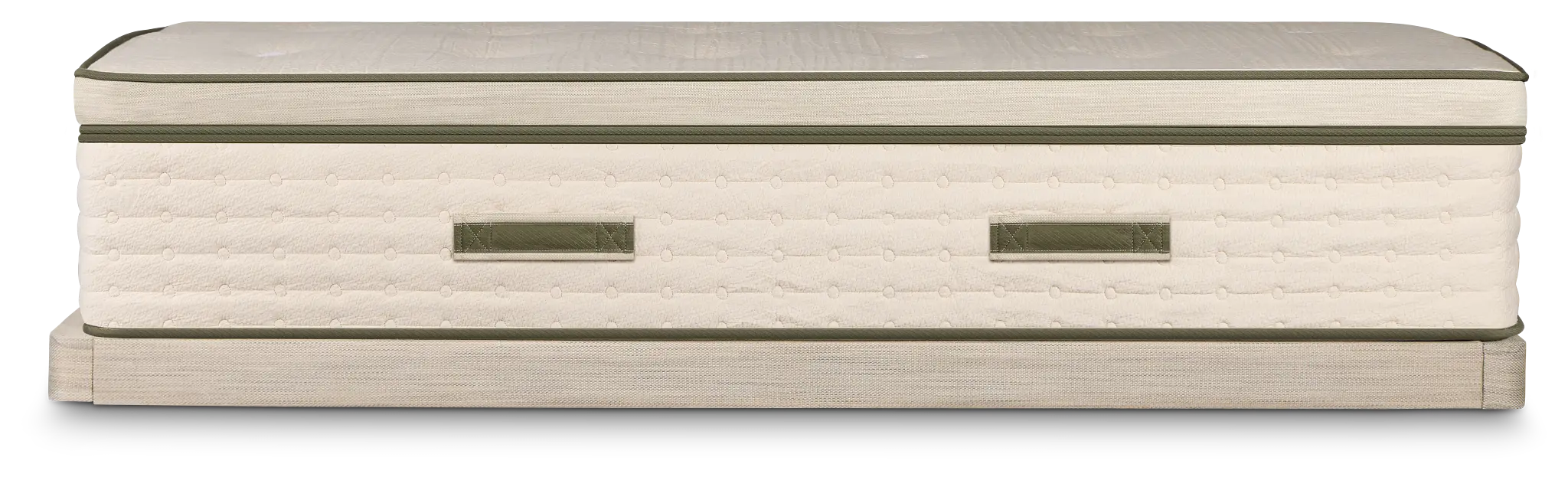 Avocado Green Plush Low-profile Mattress Set Avocado Green Plush Low-profile Mattress Set