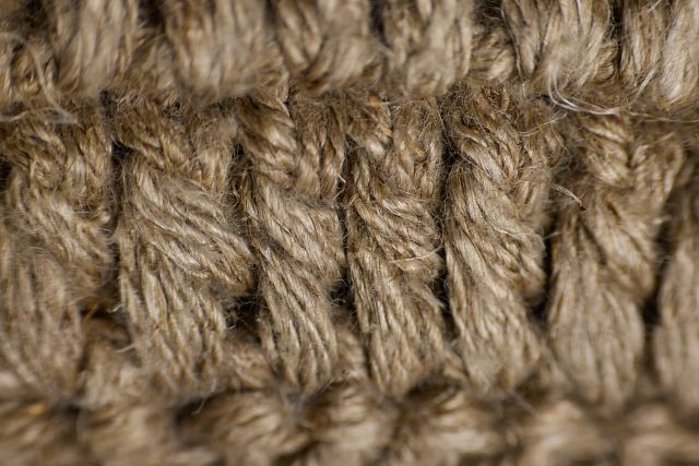 Rinar Beige Lumbar Accent Pillow