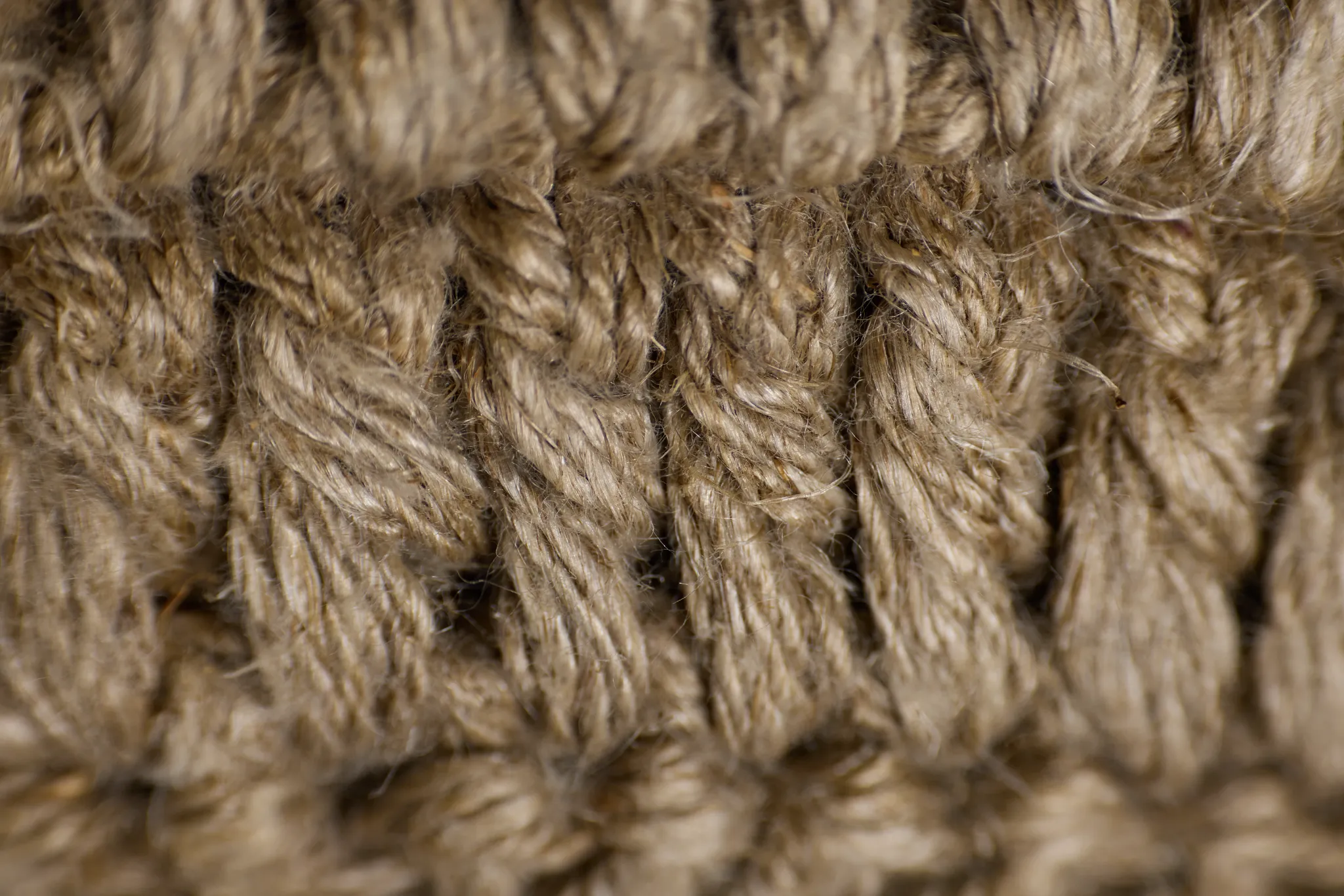 Rinar Beige Lumbar Accent Pillow