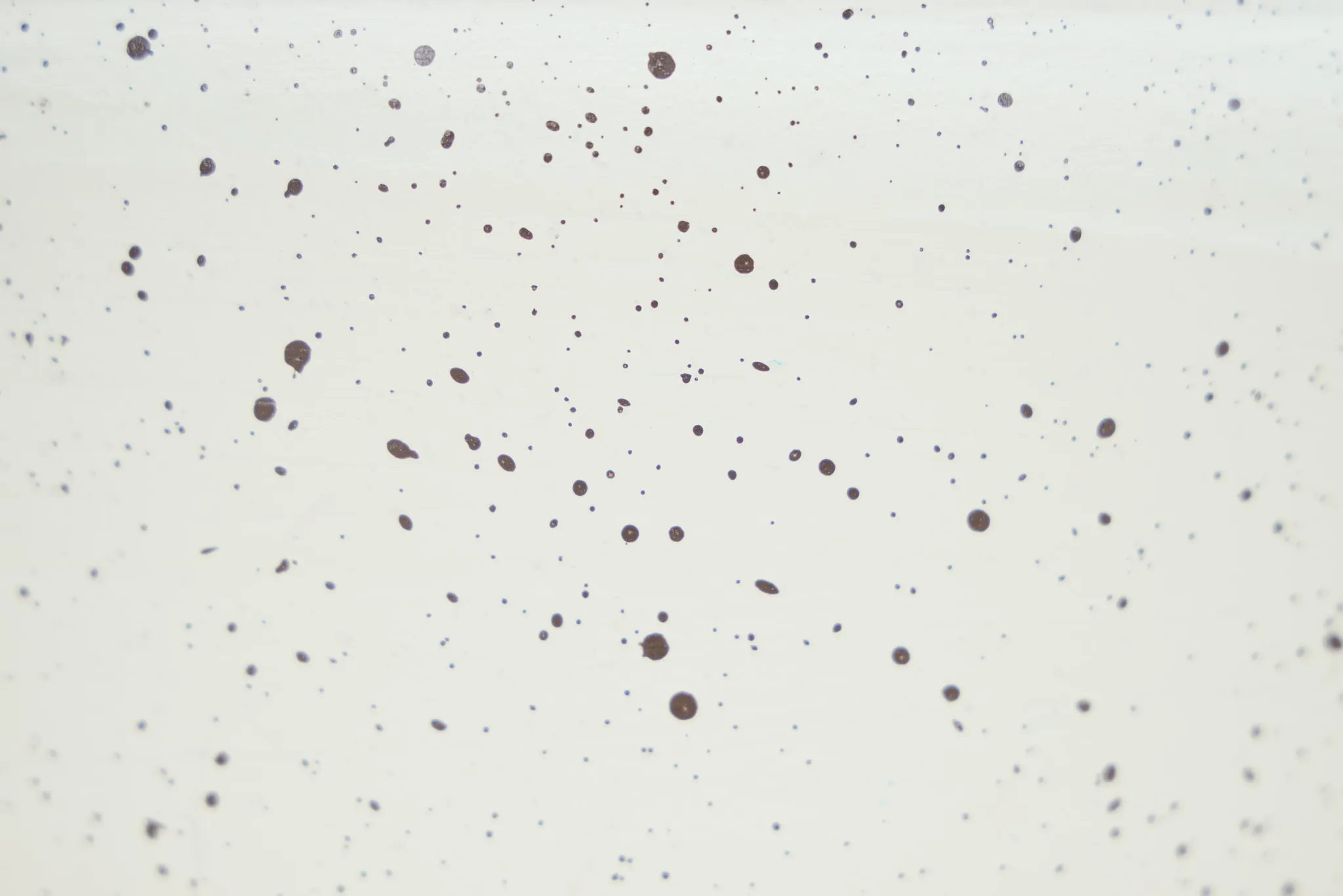 Dodola Ceramic Lt Blue Vase