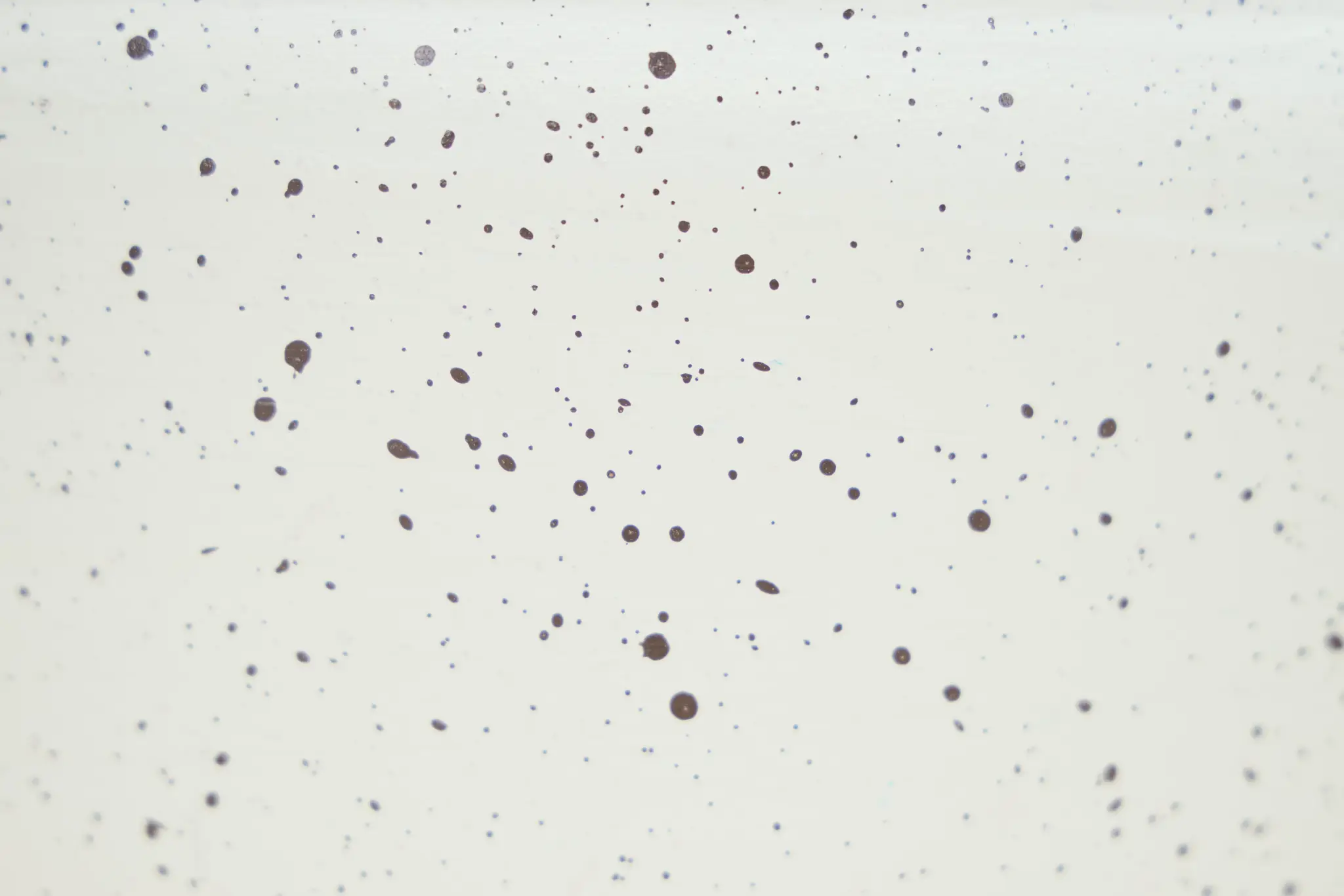 Dodola Ceramic Lt Blue Vase Dodola Ceramic Lt Blue Vase