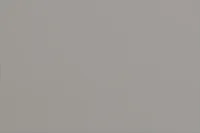 Charleston Gray Panel Trundle Bed