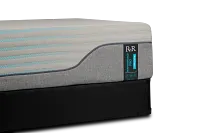 Rest & Renew Performance Pro Firm Mattress Set