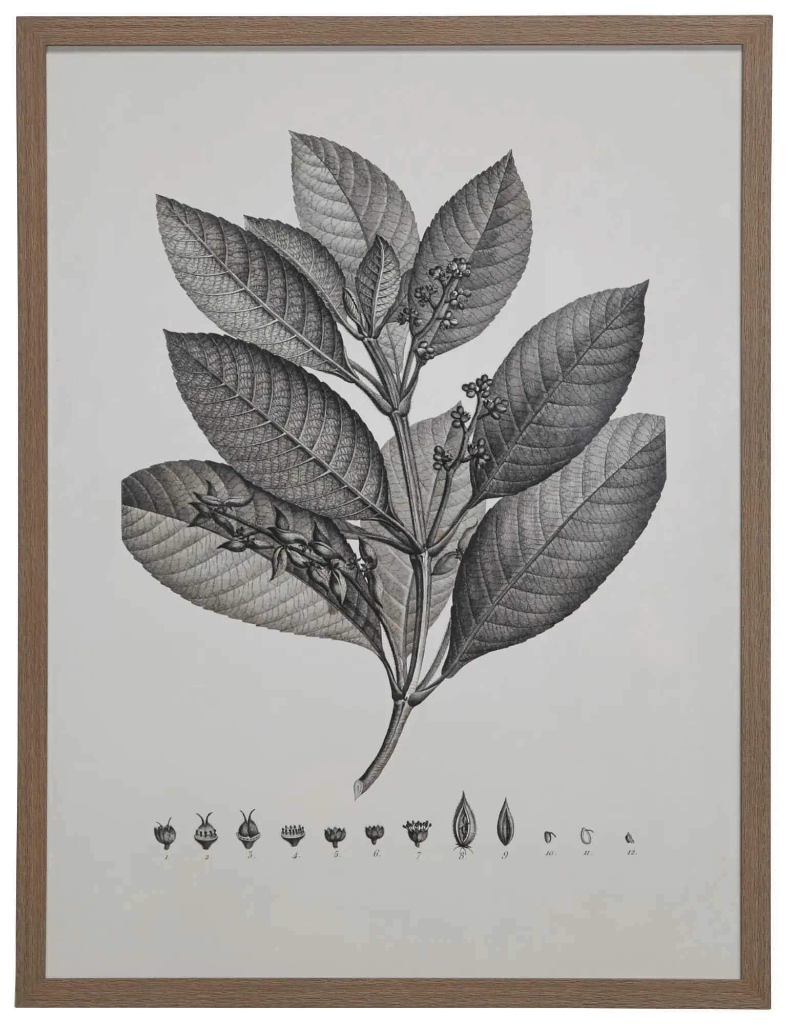 Thicket Gray Framed Wall Art Thicket Gray Framed Wall Art