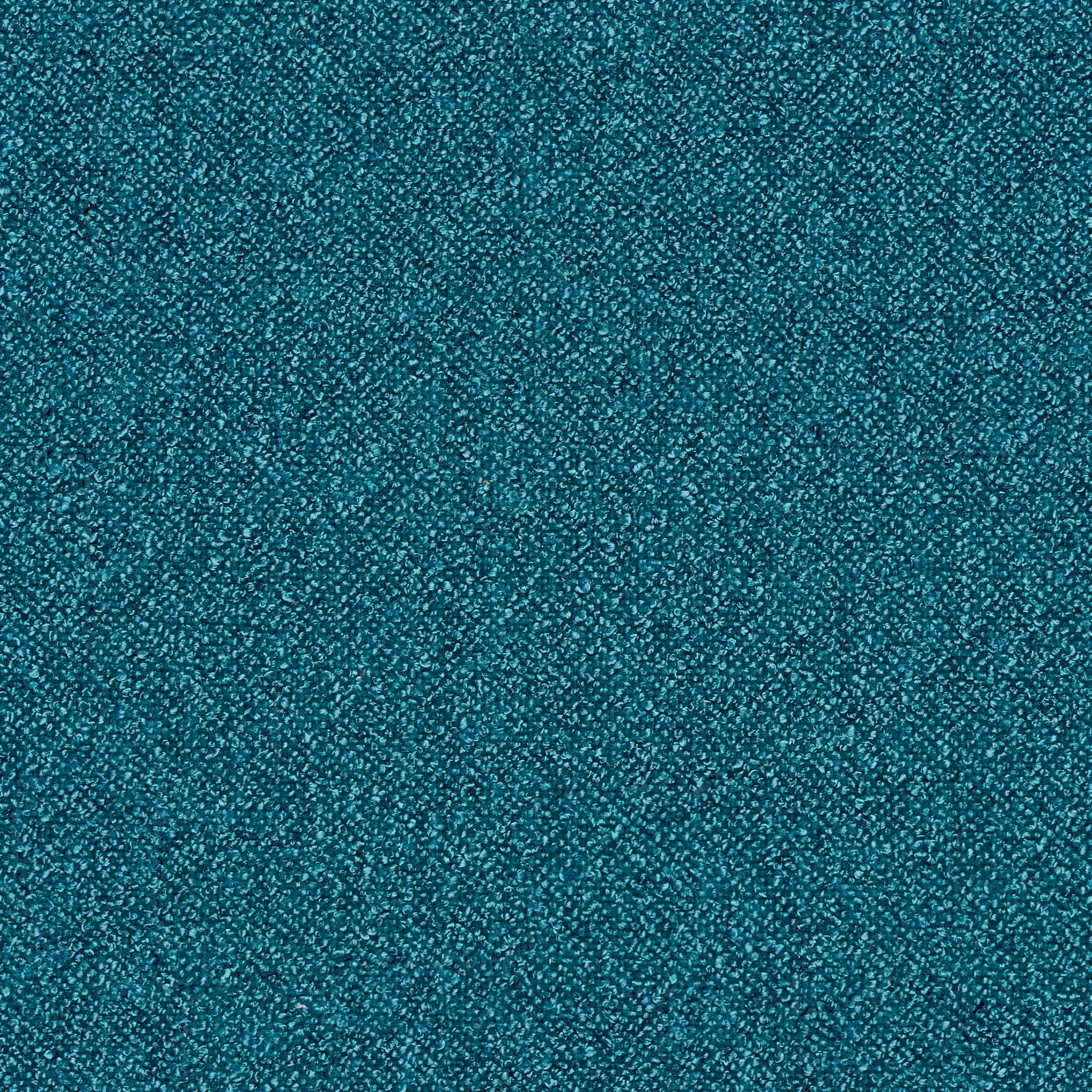 Captiva Elite Teal 60" Upholstered Shelter Bed Captiva Elite Teal 60" Upholstered Shelter Bed