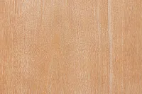 Park City Light Tone Server