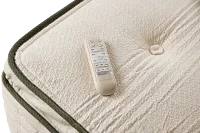 Avocado Green Cushion Firm Eco Adjustable Mattress Set