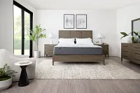 Kevin Charles By Sealy Signature 14.5" Extra Firm Tight Top Mattress