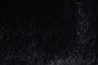 Kaycee Black 22" Accent Pillow