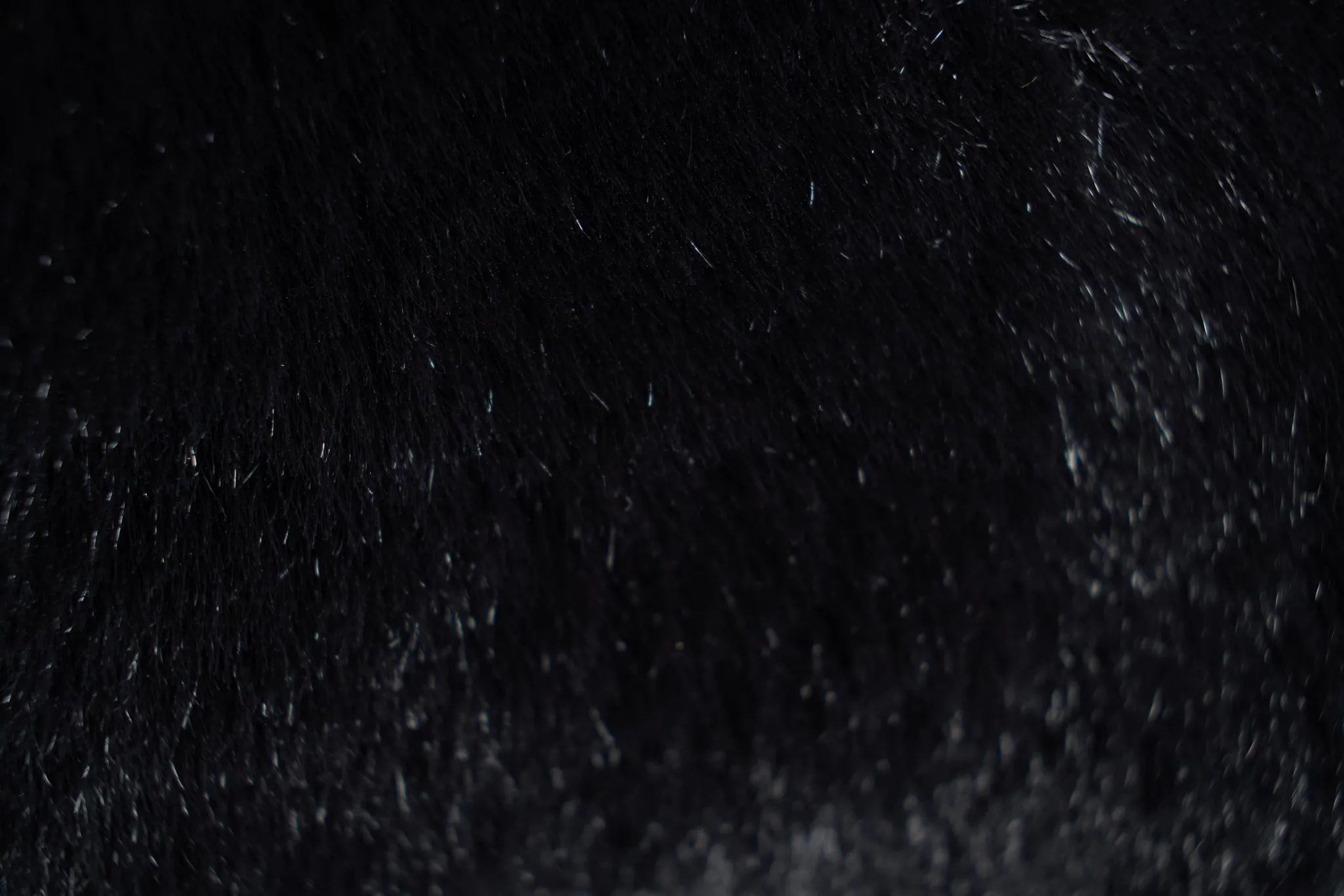 Kaycee Black 22" Accent Pillow