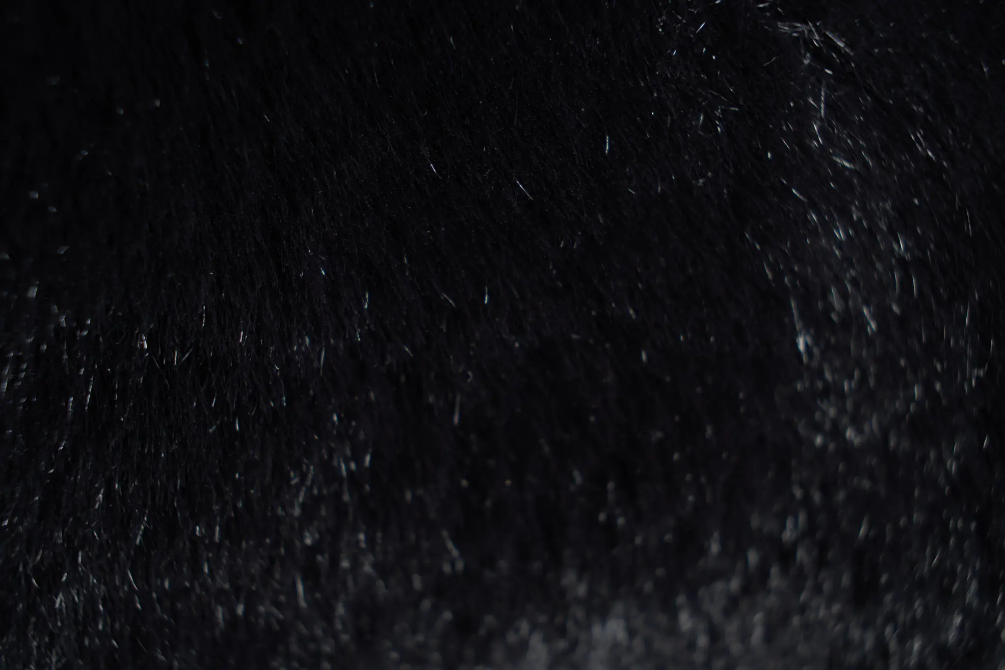 Kaycee Black 22" Accent Pillow Kaycee Black 22" Accent Pillow