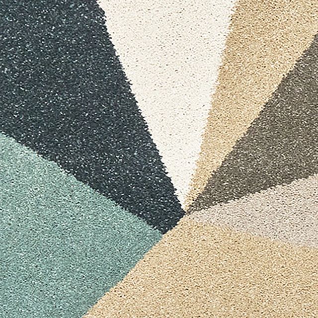 Carson Multicolored 5x8 Area Rug (1)