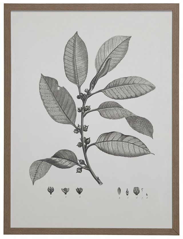 Branch Gray Framed Wall Art