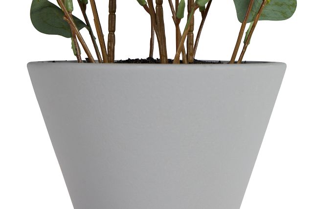 Eucalptus Medium Greenery (3)