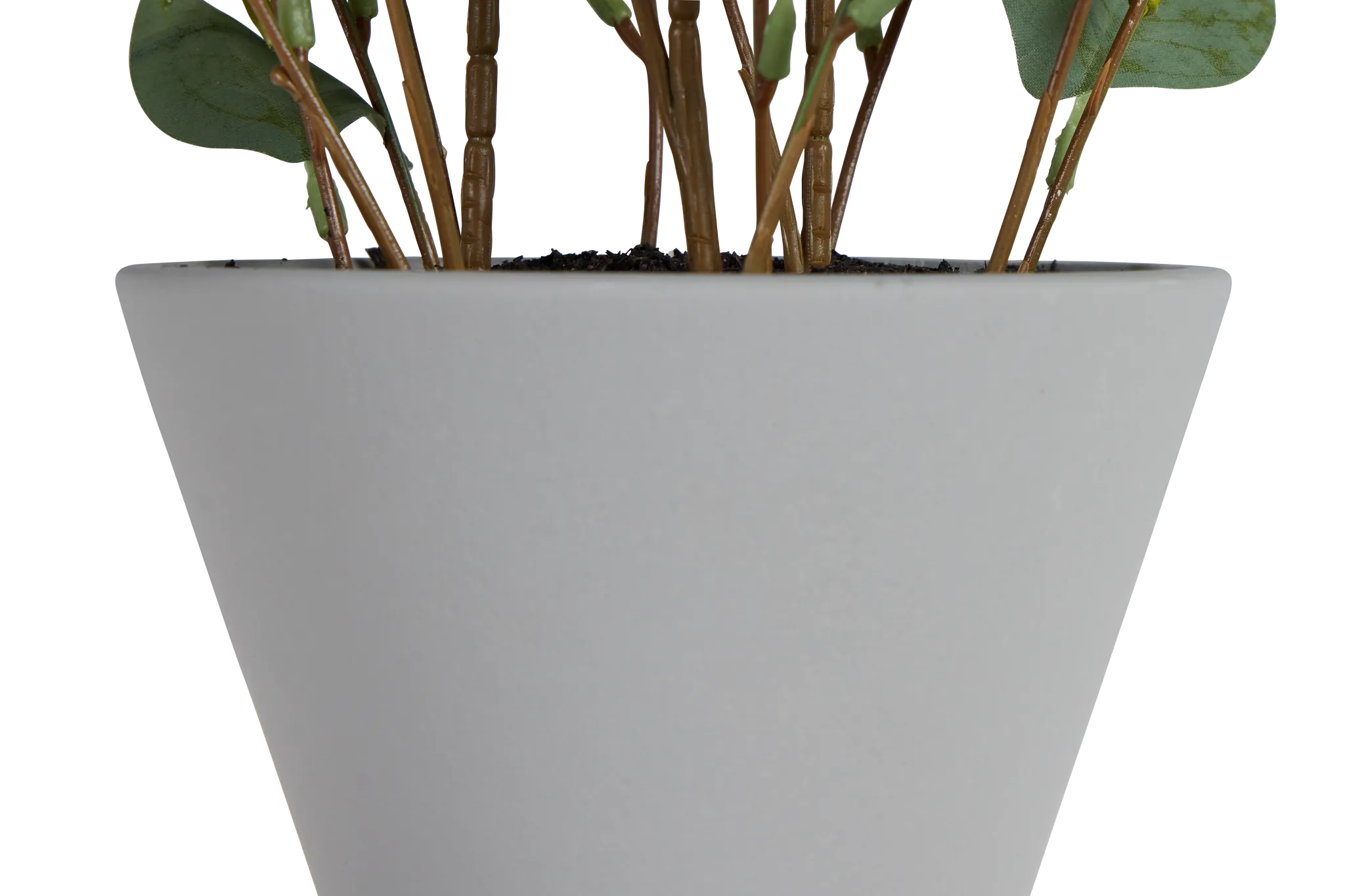 Eucalyptus Medium Greenery