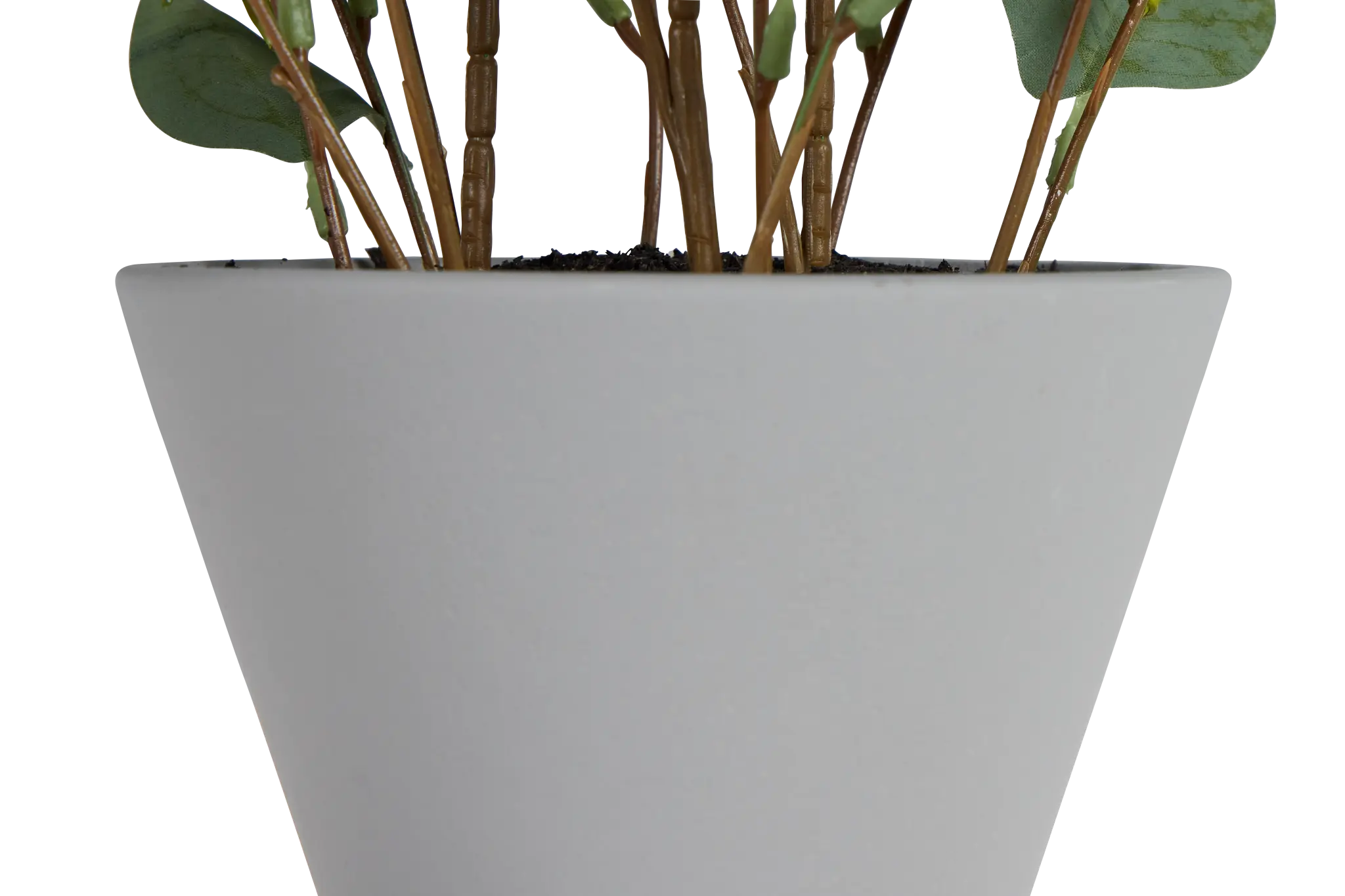 Eucalyptus Medium Greenery Eucalyptus Medium Greenery