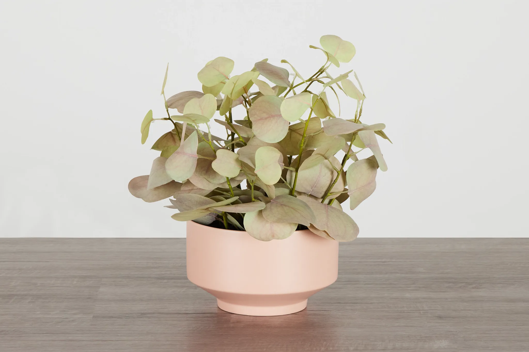 Eucalyptus 13" Greenery