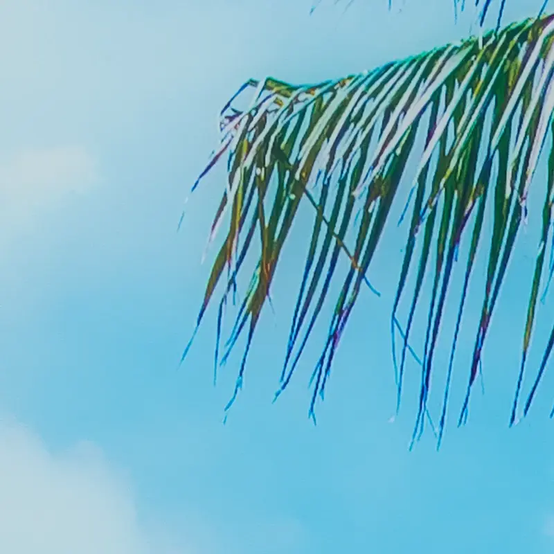 Blue Blue