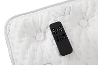 Aireloom Timeless Odyssey Luxetop M1 Plush Plus Adjustable Mattress Set