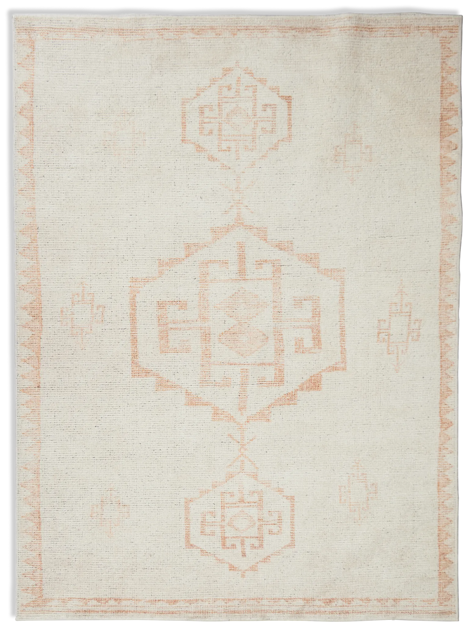 Ilona Orange 5x7 Area Rug