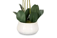 Orchid White 23" Floral Arrangement