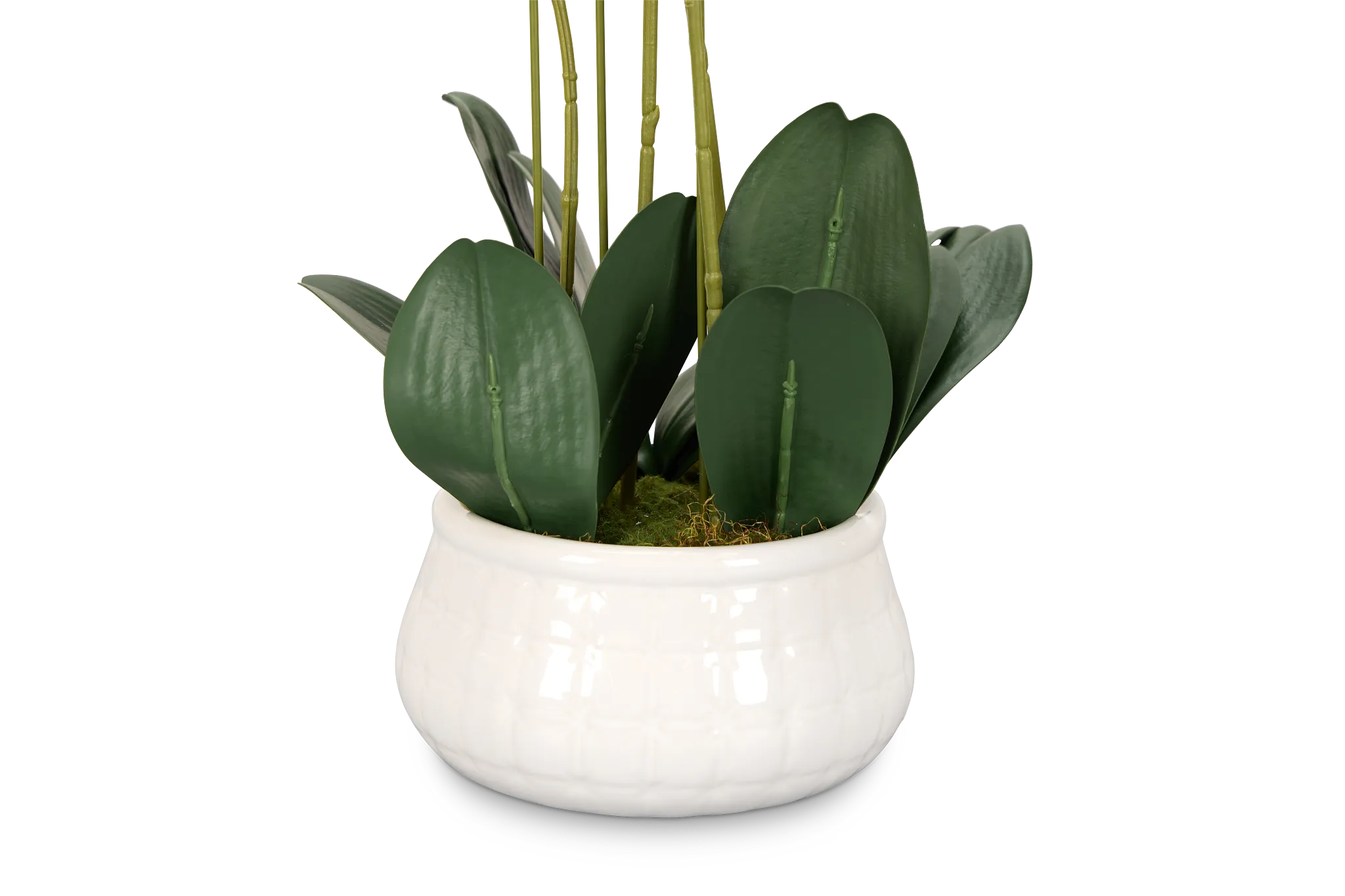Orchid White 23" Floral Arrangement