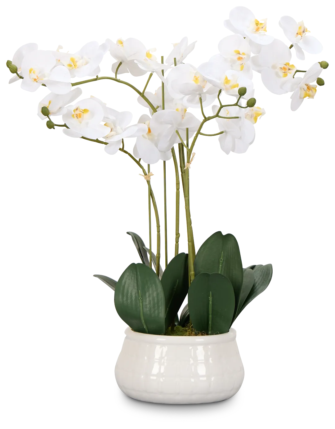 Orchid White 23" Floral Arrangement