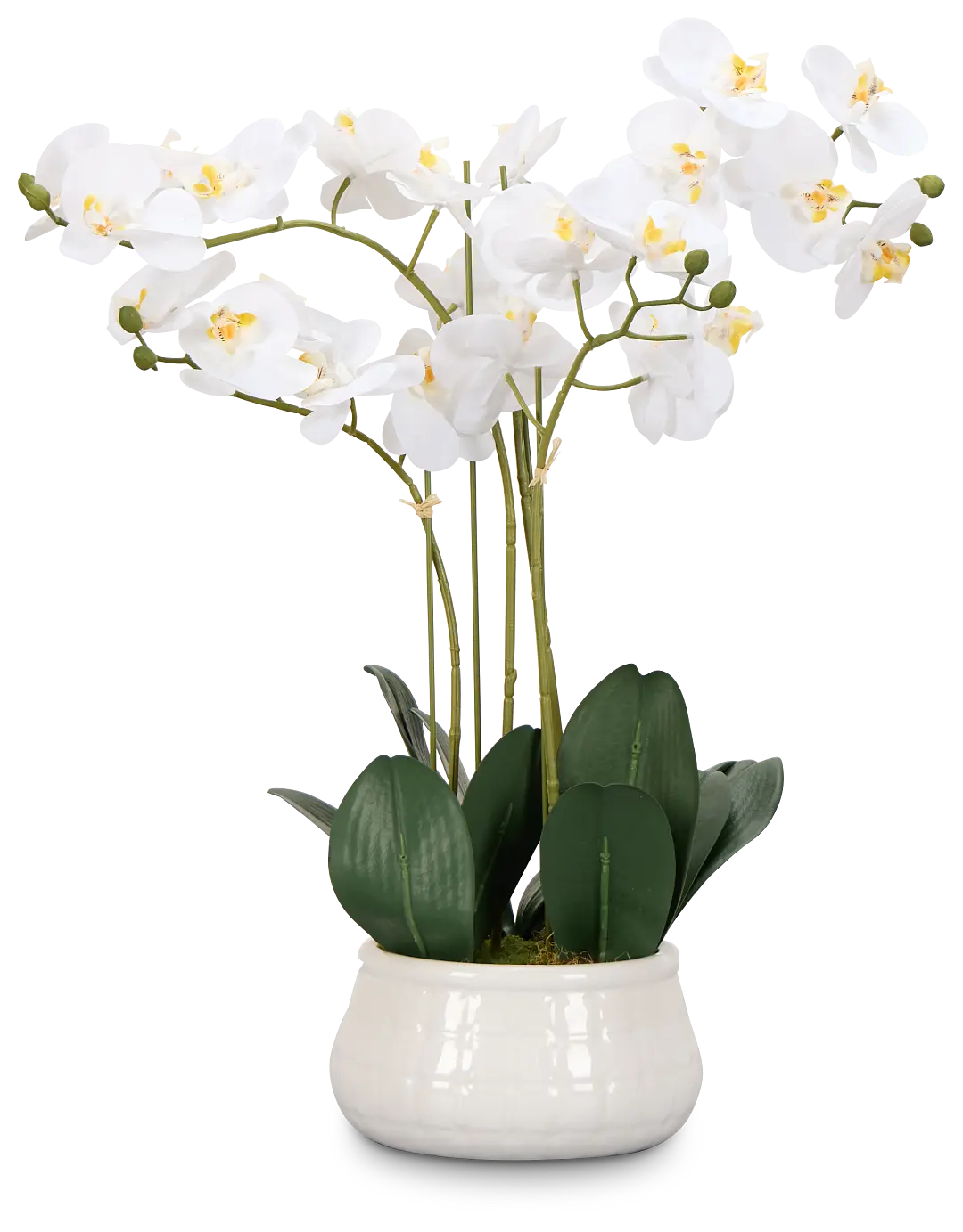Orchid White 23" Floral Arrangement Orchid White 23" Floral Arrangement