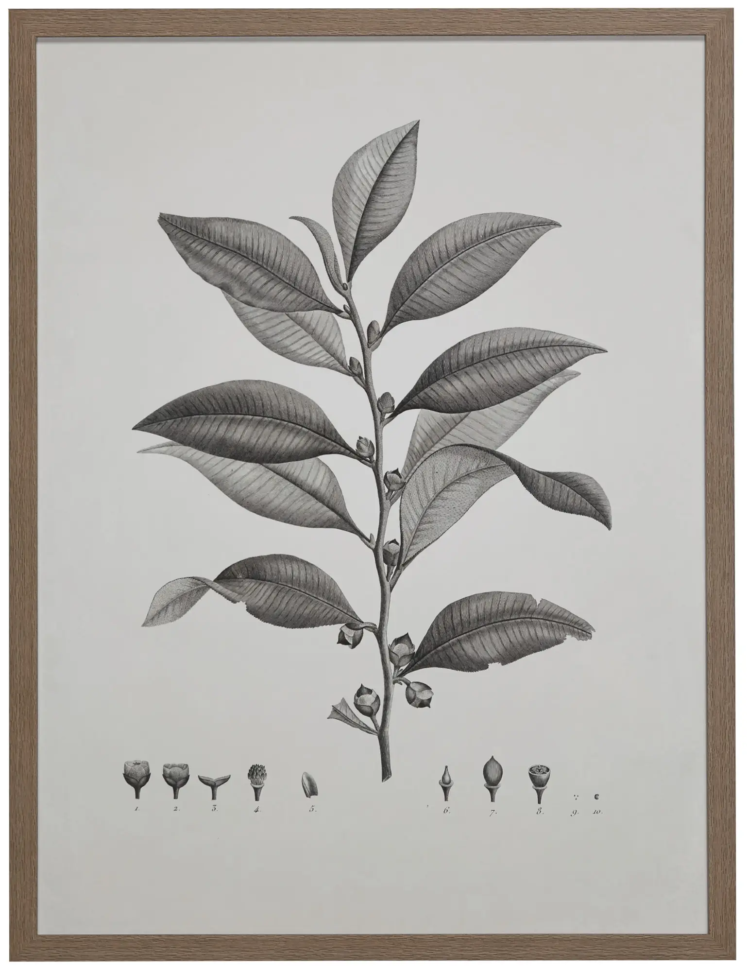 Plantation Gray Framed Wall Art Plantation Gray Framed Wall Art