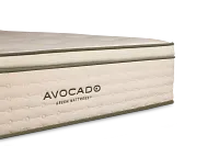 Avocado Green Cushion Firm Mattress Set