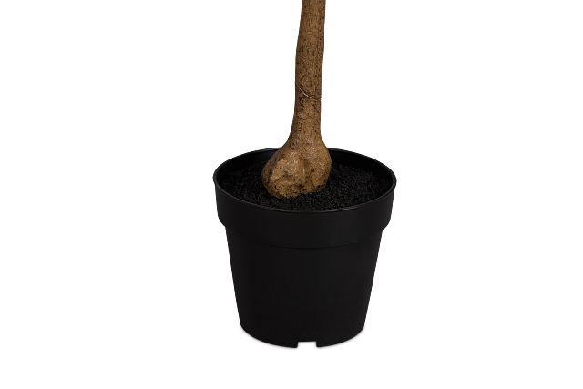 Olive 5" Green Tree