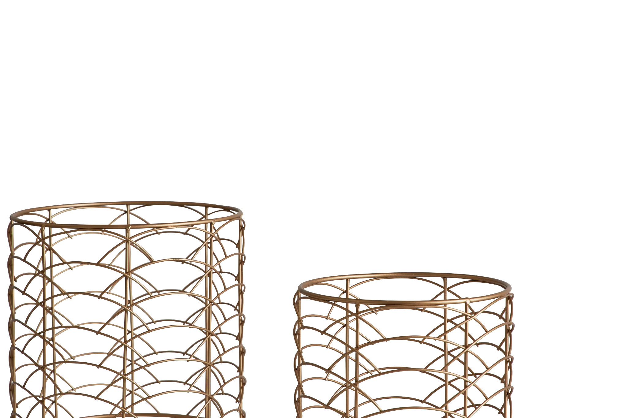 Cole Gold Set Of 2 Basket