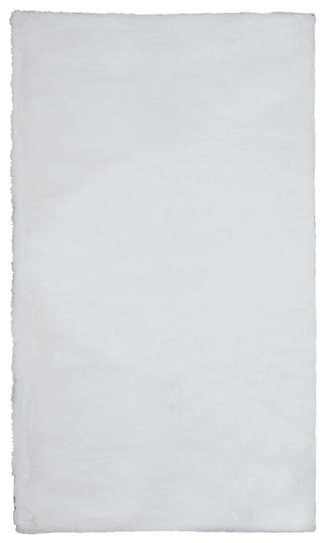 Kaycee White 4x6 Area Rug