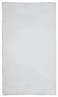 Kaycee White 4x6 Area Rug