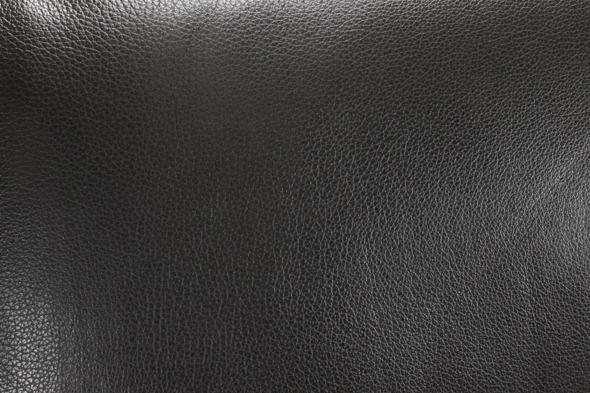 Dark Gray Dark Gray