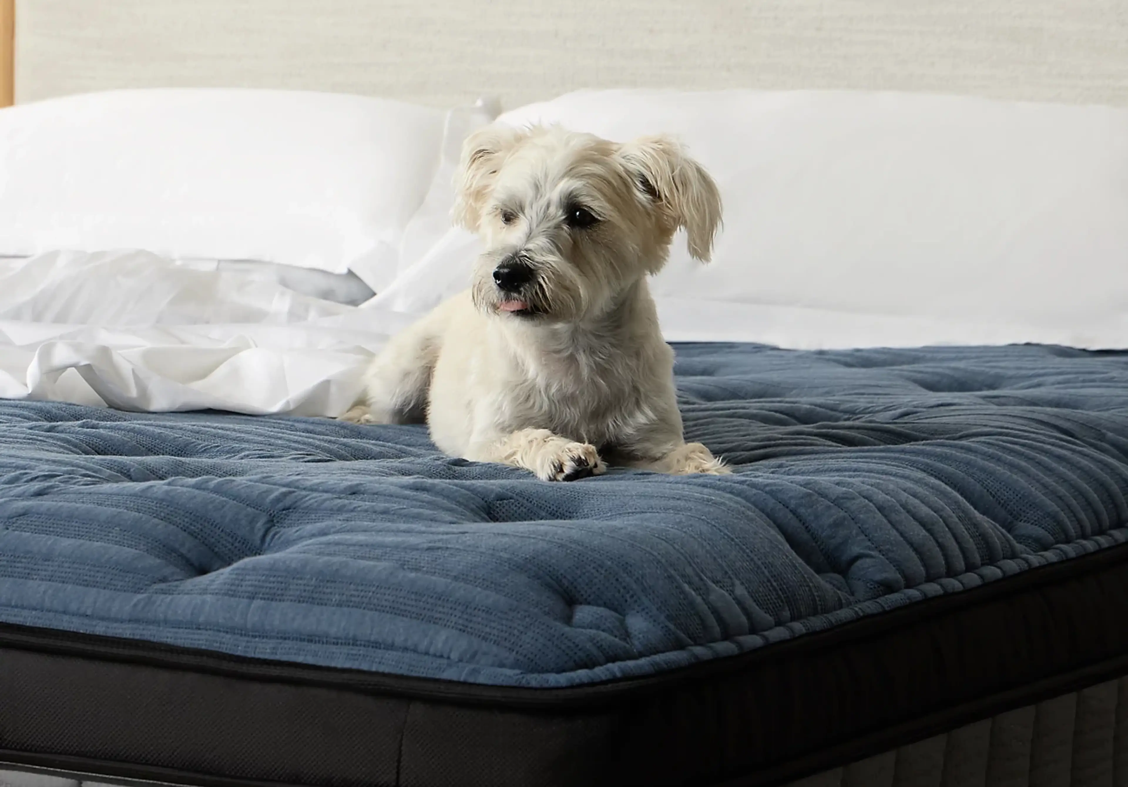 Mattresses