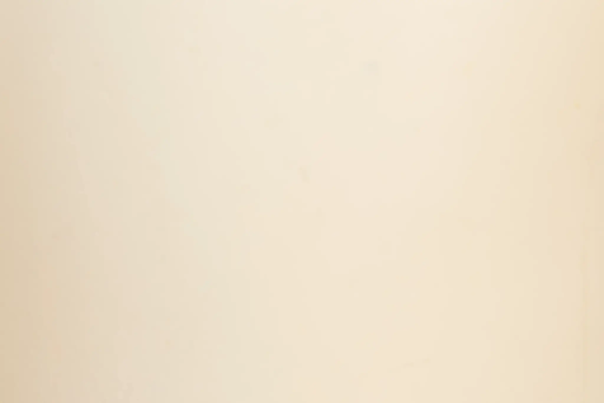 Emmie Beige Vase Emmie Beige Vase