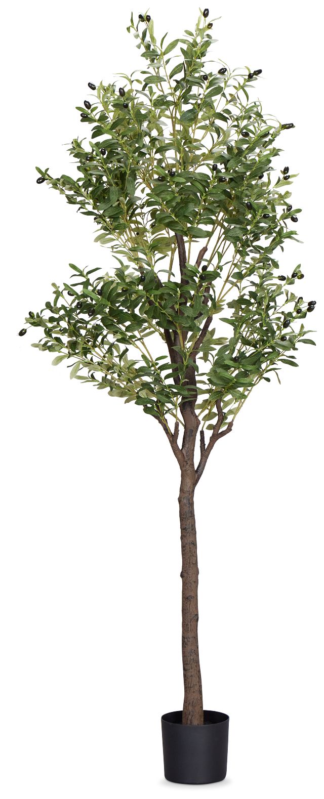 Olive Green 7' Tree