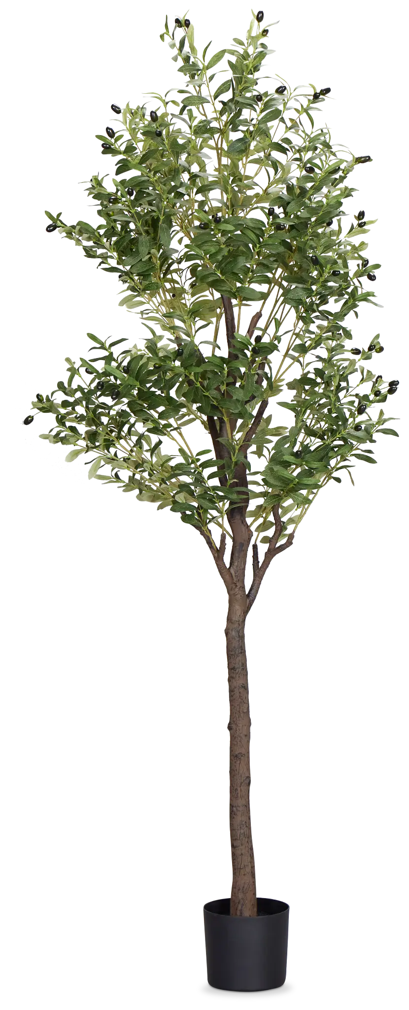 Olive Green 7' Tree Olive Green 7' Tree