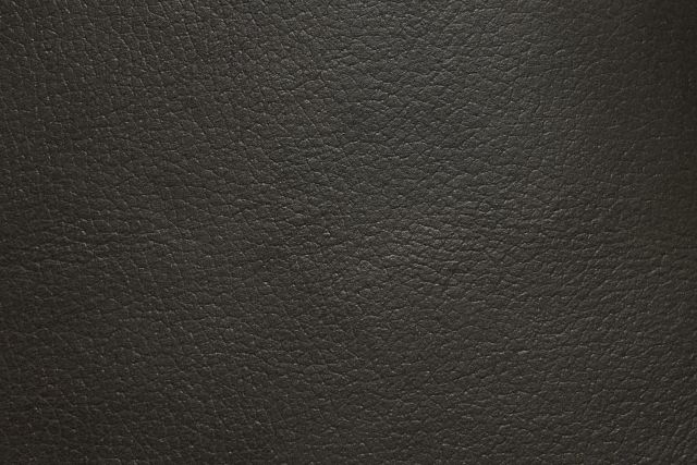 Braden Dark Gray Leather Loveseat