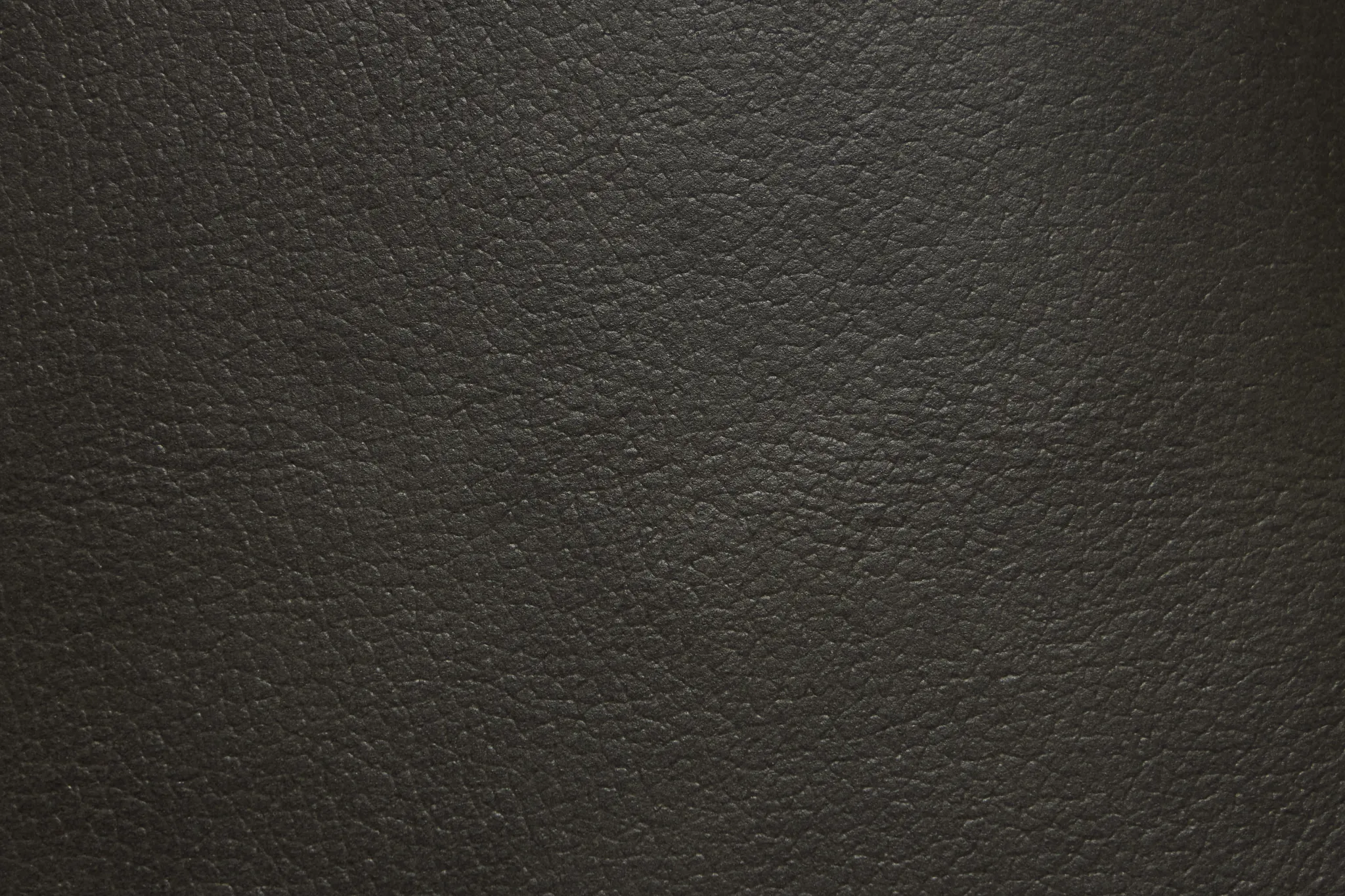 Braden Dark Gray Leather Loveseat